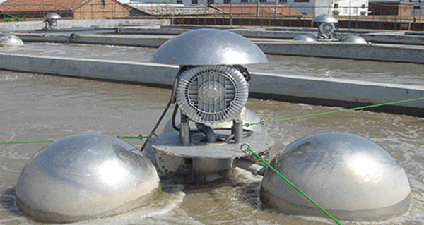 如何根據(jù)西瑪電機(jī)的外表來檢查防護(hù)等級的一致性？