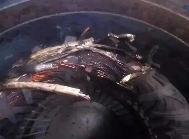 帶熱繼電器保護(hù)的電機(jī)頻繁燒毀的原因是什么？